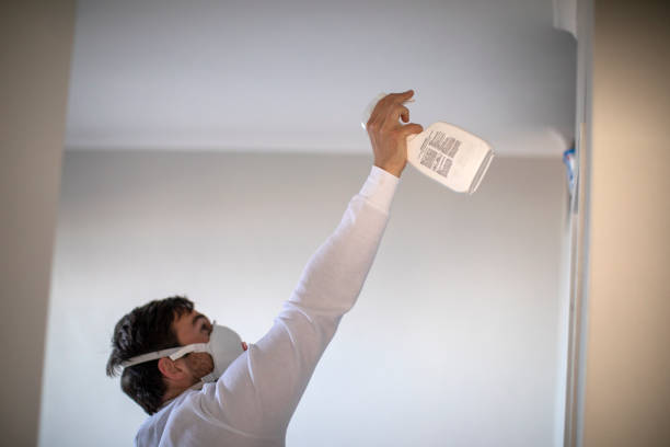Best Affordable Mold Removal  in Ogden, NC