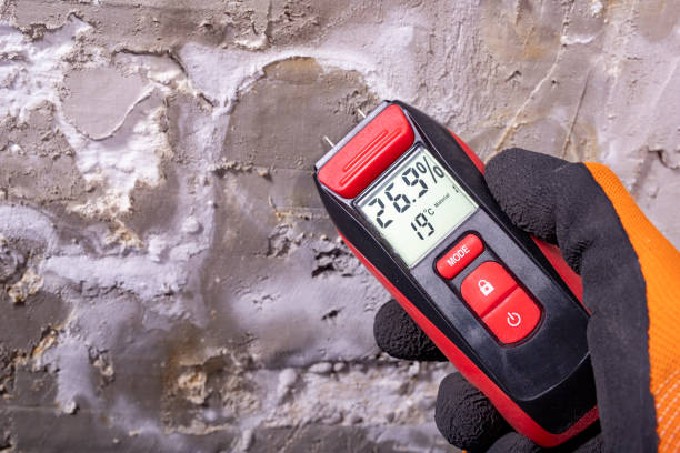 Professional Mold Removal in Ogden, NC