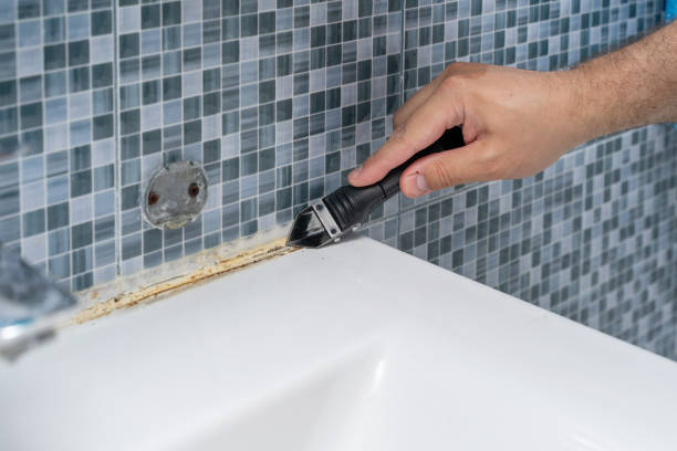 Best Toxic Mold Removal  in Ogden, NC